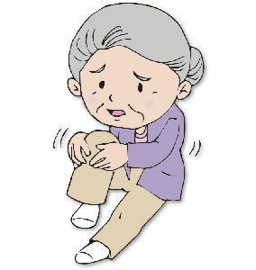 マイケア イタドリ ふしぶしサプリ 関節サプリ 初回に限り全額返金保証付き マイケア イタドリ ふしぶしサプリ 関節サプリ 初回に限り全額返金保証付き